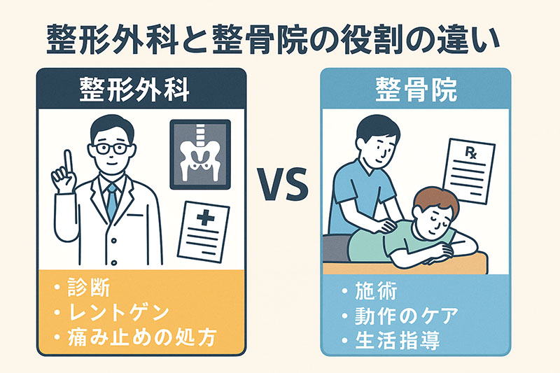 整形外科と整骨院の役割の違いイラスト
