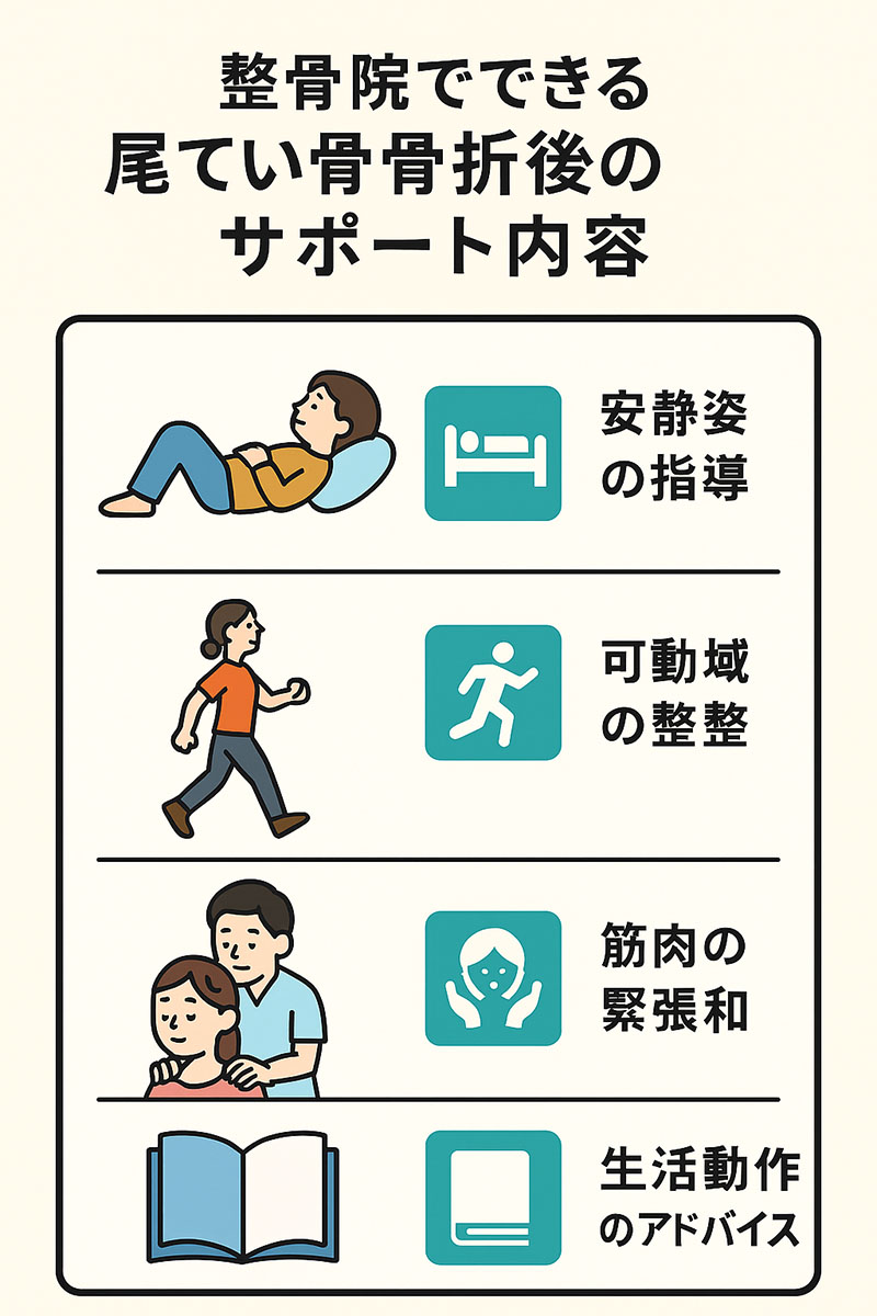 整骨院でできる尾てい骨骨折後のサポート内容イラスト